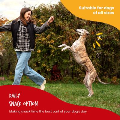 Munchy Chicken Dumbbells Jerky Dog Treat, 4.5-oz bag