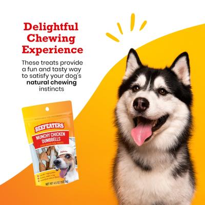 Munchy Chicken Dumbbells Jerky Dog Treat, 4.5-oz bag