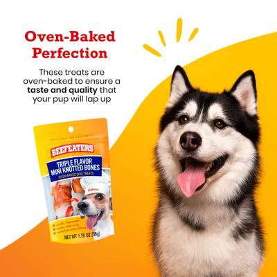 Triple Flavor Mini Knotted Bone Jerky Dog Treat, 1.26-oz, case of 12