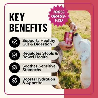 Digestion Grass-Fed Beef Bone Broth Powdered Dog Food Topper, 7-oz jar