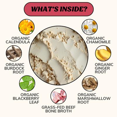 Digestion Grass-Fed Beef Bone Broth Powdered Dog Food Topper, 7-oz jar