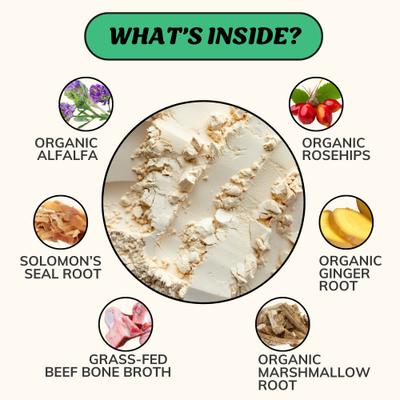 Mobility Grass-Fed Beef Bone Broth Powdered Dog Food Topper, 7-oz jar