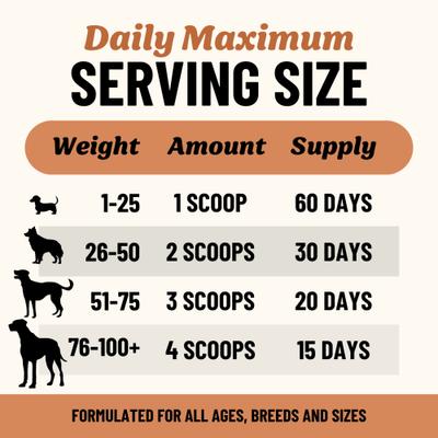 Longevity Grass-Fed Beef Bone Broth Powdered Dog Food Topper, 7-oz jar