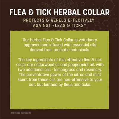 Apothecary Natural Flea & Tick Herbal Collar for Cats
