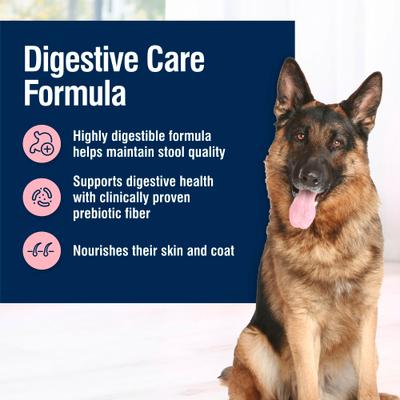 Paquete: alimento seco Blue Buffalo True Solutions Blissful Belly Digestive Care Formula, bolsa de 11 lb + alimento húmedo para perros Digestive Care Formula