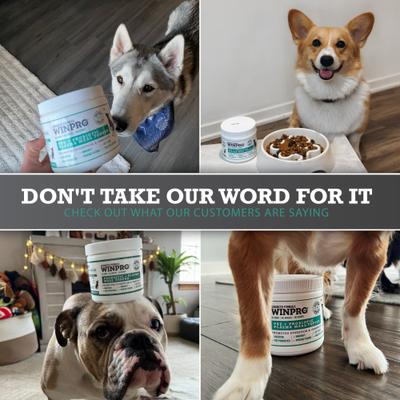 Probiotic + Plasma Meal Topper Dog Supplement, 60 scoops