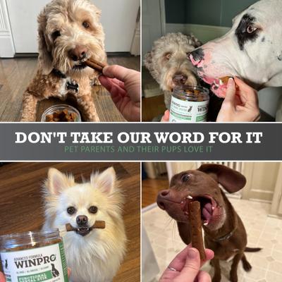 Functional Dental Stix Dog Treats, 16 count