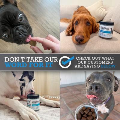 Allergy Soft Chew Dog Supplement, 60 count