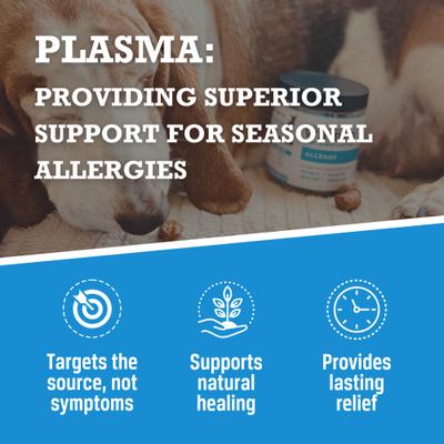 Allergy Soft Chew Dog Supplement, 60 count