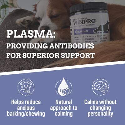 Calming Soft Chew Dog Supplement, 60 count