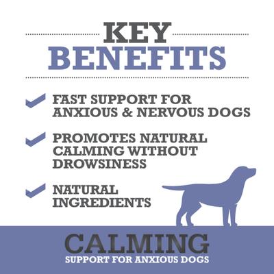 Calming Soft Chew Dog Supplement, 60 count