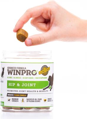 Hip & Joint Soft Chews Dog Supplement, 60 count