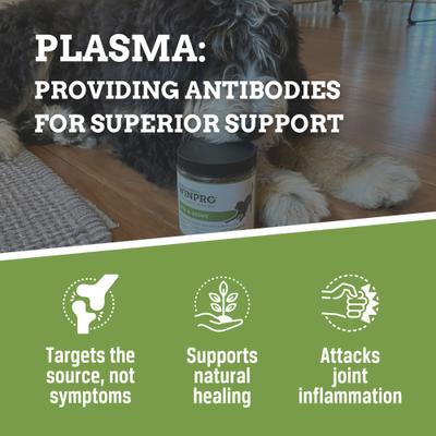 Hip & Joint Soft Chews Dog Supplement, 60 count