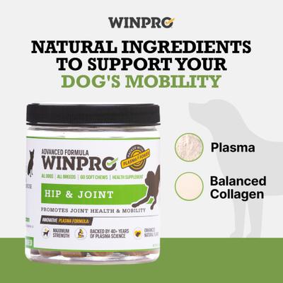 Hip & Joint Soft Chews Dog Supplement, 60 count