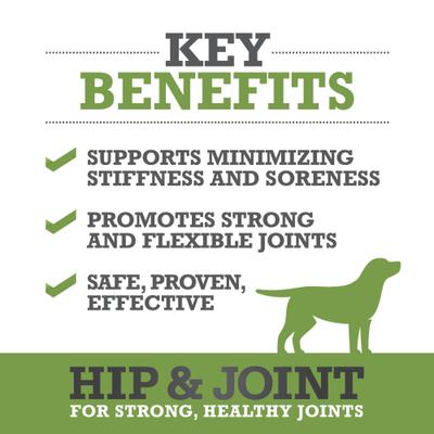 Hip & Joint Soft Chews Dog Supplement, 60 count