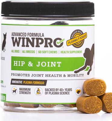 Hip & Joint Soft Chews Dog Supplement, 60 count