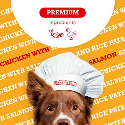Chicken with Salmon & Rice Pate Wet Dog Food, 13.2-oz can, case of 12