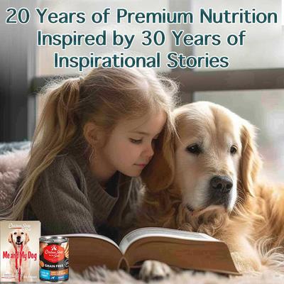 Turkey & Sweet Potato Stew Recipe Grain-Free Canned Dog Food, 13-oz can, case of 12