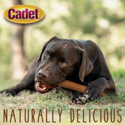 Chewalicious Chewy 'N Savory Rolls Chicken Flavor Dog Chews, 2 count