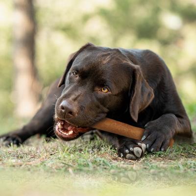 Chewalicious Chewy 'N Savory Rolls Chicken Flavor Dog Chews, 2 count