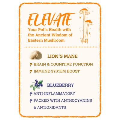 Lion'S Mane & Blueberry Organic Powder-Supplement Dog & Cat Food Topper, 140g bottle