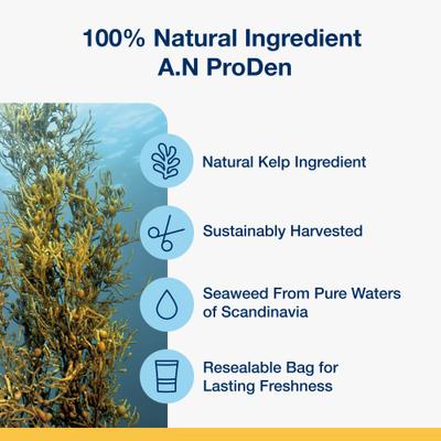 Golosinas dentales para perros PlaqueOff System Vegetable Fusion con sabor a hueso, 13 unidades