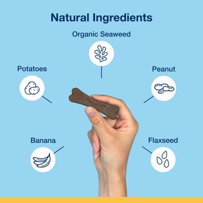 Plaque Off System Mini Dental Care Bones Peanut Butter & Banana Flavor Dental Chews for X-Small & Small Dogs, 12-oz bag