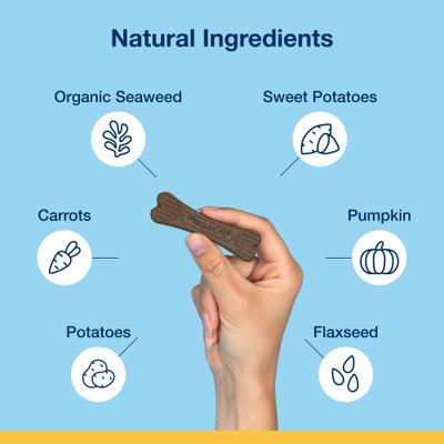 PlaqueOff System Vegetable Fusion Flavored Mini Dental Bone Dog Treats, 20 count