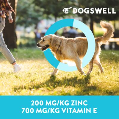 Skin & Coat Jerky Lamb Recipe Grain-Free Dog Treats, 10-oz bag