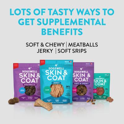 Skin & Coat Jerky Lamb Recipe Grain-Free Dog Treats, 10-oz bag