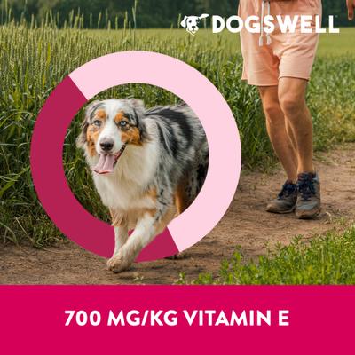 Immune System Jerky Duck Recipe Grain-Free Dog Treats, 20-oz bag