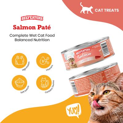Salmon Pate Wet Cat Food, 3-oz can, case of 24
