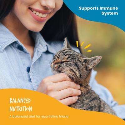 Tuna Pate Wet Cat Food, 5.5-oz can, case of 24