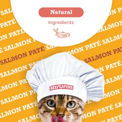 Salmon Pate Wet Cat Food, 3-oz can, case of 24