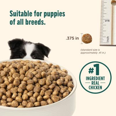 Whole Health Blend Puppy Real Chicken & Brown Rice Recipe Dry Dog Food, 14-lb bag