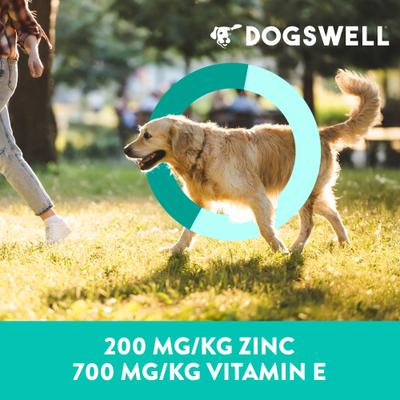 Premios para perros sin cereales con receta de salmón cecina Skin & Coat, bolsa de 10 oz