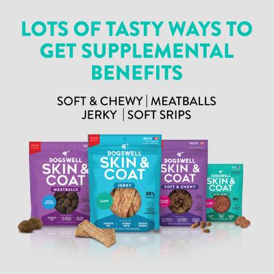 Skin & Coat Mini Jerky Salmon Recipe Grain-Free Dog Treats, 4-oz bag