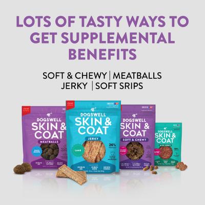 Skin & Coat Salmon Flavor Grain-Free Soft & Chewy Dog Treats, 14-oz bag