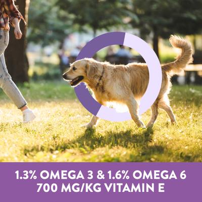 Skin & Coat Salmon Flavor Grain-Free Soft & Chewy Dog Treats, 14-oz bag