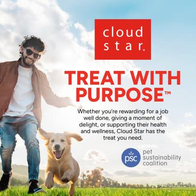 Premios para perros sin cereales con receta de salmón cecina Skin & Coat, bolsa de 10 oz