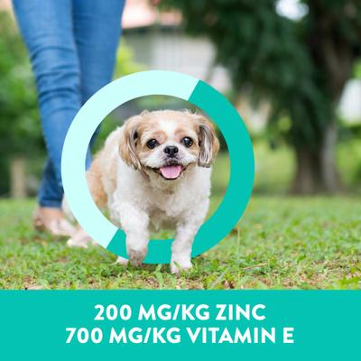 Skin & Coat Mini Jerky Salmon Recipe Grain-Free Dog Treats, 4-oz bag