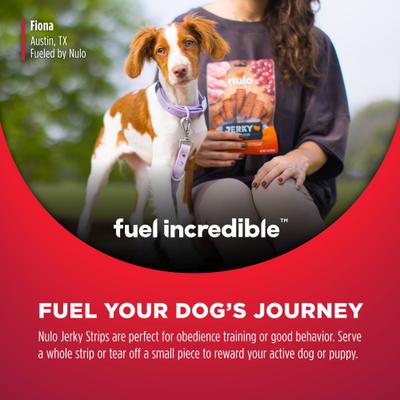 Tiras de cecina premium para perros, sin cereales, ricas en proteínas, elaboradas con probiótico BC30 para favorecer la salud digestiva e inmunitaria, bolsa de 147 g