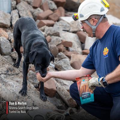 Premium Jerky Strips Dog Treats, Grain-Free High Protein Jerky Strips made with BC30 Probiotic to Support Digestive & Immune Health Jerky Dog Treats, 5-oz bag