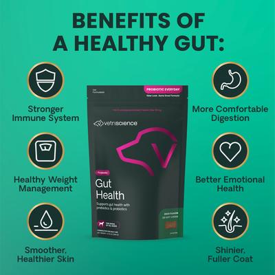 Probiotic Everyday Gut Health Duck Flavored Chews Probiotic Supplement for Dogs, 120 count