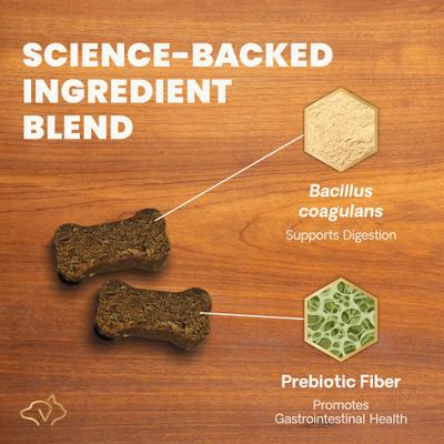 Probiotic Everyday Gut Health Duck Flavored Chews Probiotic Supplement for Dogs, 120 count