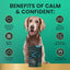 Composure Long Lasting Calm & Confident Clinically Tested Chicken Flavored Chews Calming Supplement for Dogs, 90 Chews