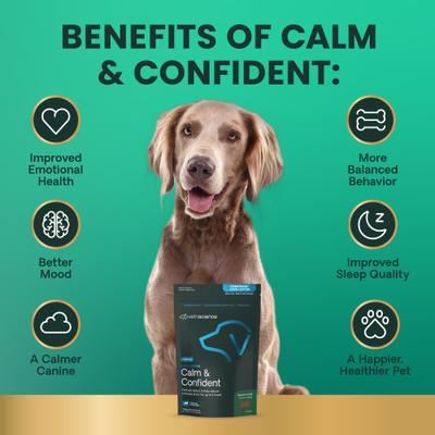 Composure Long Lasting Calm & Confident Clinically Tested Chicken Flavored Chews Calming Supplement for Dogs, 90 Chews