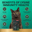 Lysine Plus Lysine Immunity Health - Masticables con sabor a pollo - Suplemento inmunológico para gatos, 120 unidades