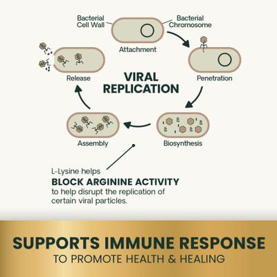 Lysine Plus Lysine Immunity Health - Masticables con sabor a pollo - Suplemento inmunológico para gatos, 120 unidades