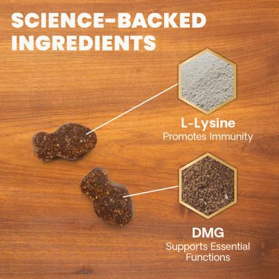 Lysine Plus Lysine Immunity Health - Masticables con sabor a pollo - Suplemento inmunológico para gatos, 120 unidades